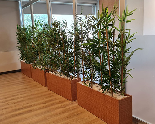 Bambu Dekorasyonlar